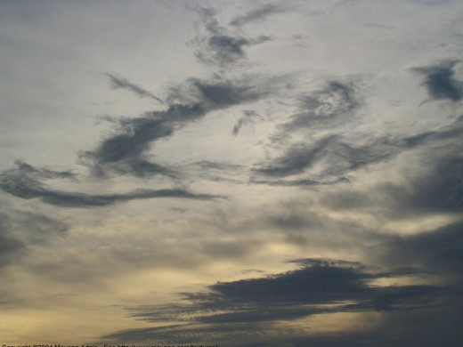 28770 (a): :1600x1200
